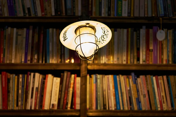 Books in a shelf