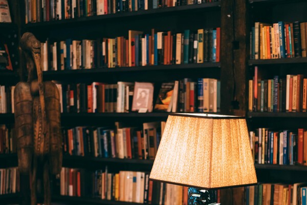 Books in a shelf