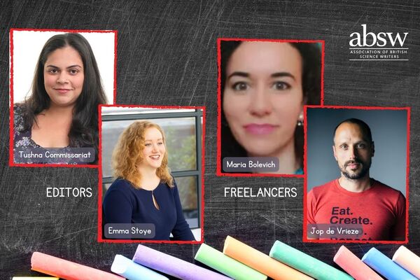 Pictures of the fours speakers at the webinar