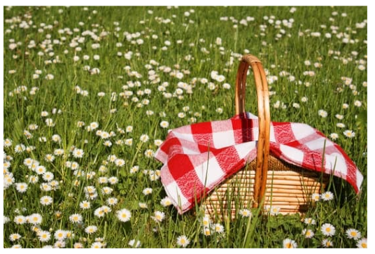 Long grass and a picnic basket