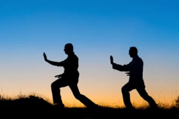 picture of 2 people silhouettes doign tai chi in the sunset 