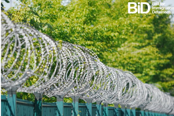 image of barbed wire with trees in background
