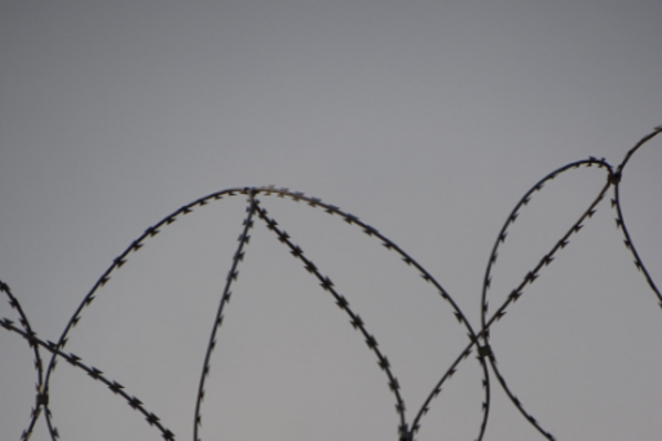 greyscale image of circular barbed wire