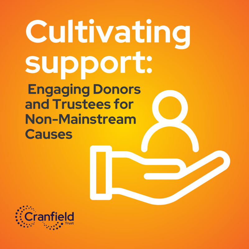 Orange and yellow background with graphic of a hand holding a person with the wording Cultivating support: Engaging donar and trustees for non-mainstream causes