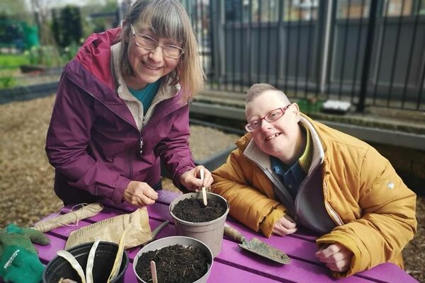 A volunteer and beneficiary plant seeds together