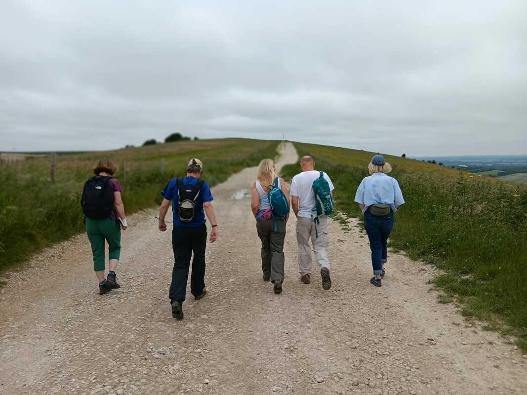 photo of five people walking in to the distance on a track with greenery either side of the track and trees and clouds in the distance 