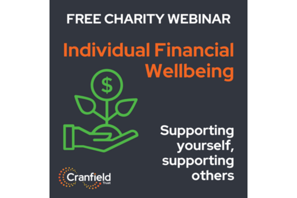 Individual Financial Wellbeing graphic