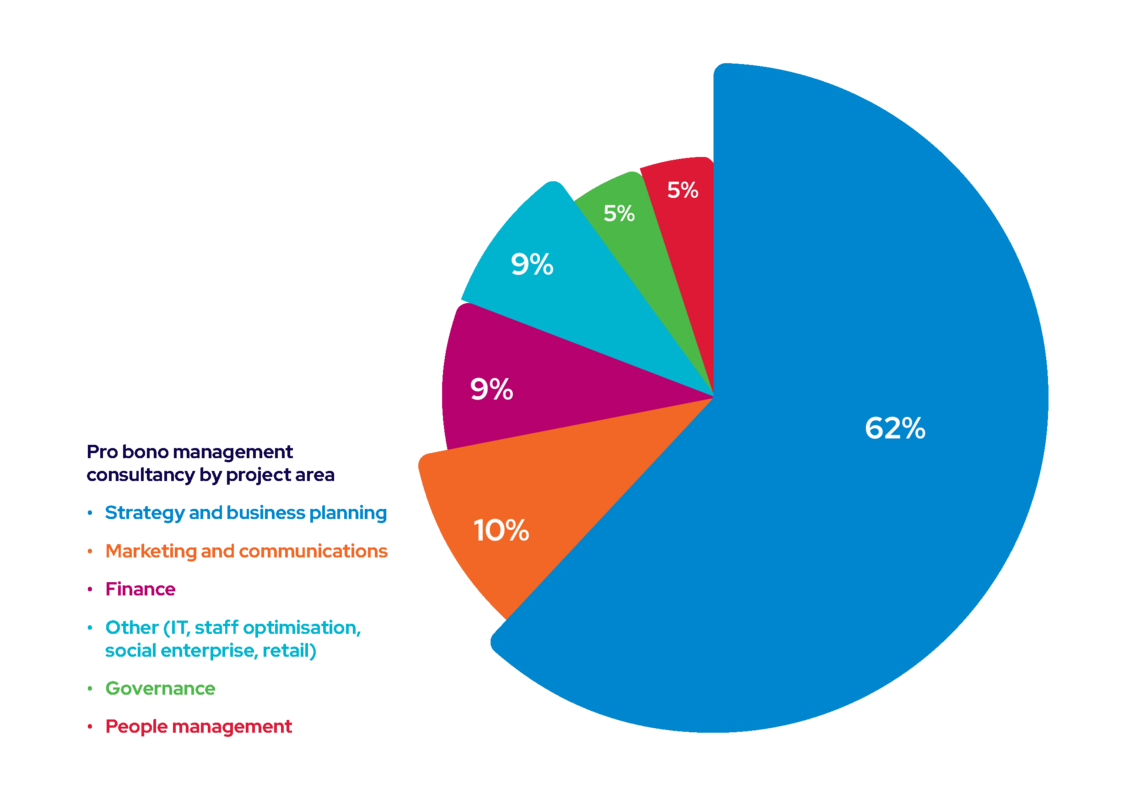 pie chart showing pro bono management consultancy by project area