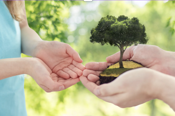 An adult passing a child a tree in their hands to symbolise leaving a legacy.
