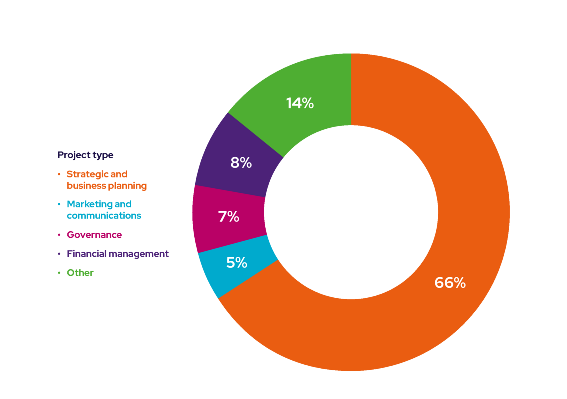 pie chart showing pro bono management consultancy by project area