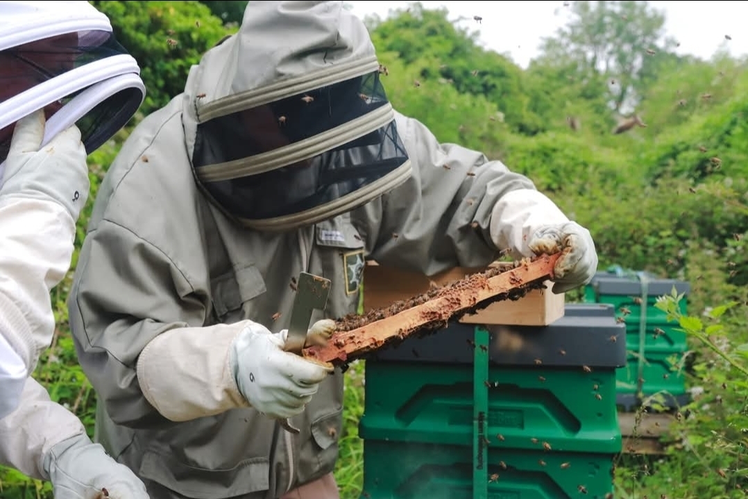 BWORKZ beekeepers at the hives