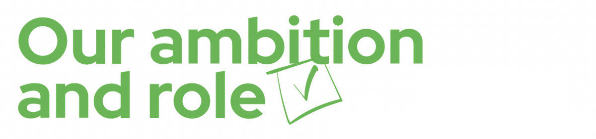 Our ambition and role