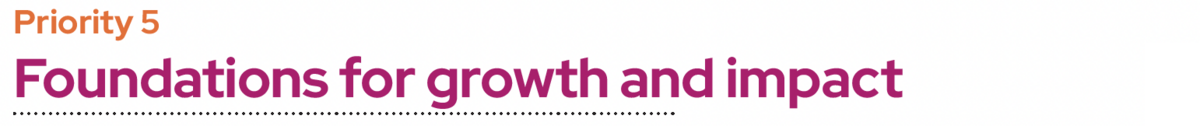 Priority 5: Foundations for growth and impact