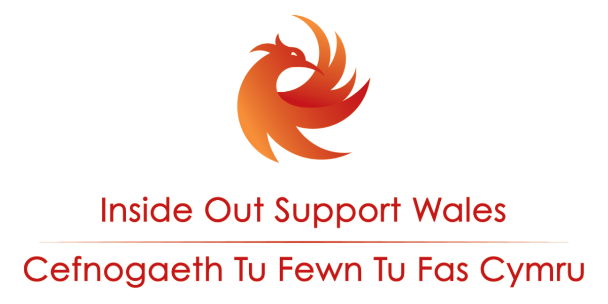 Inside Out Support Wales Logo orange dragon