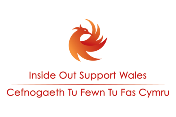 Inside Out Support Wales Logo orange dragon