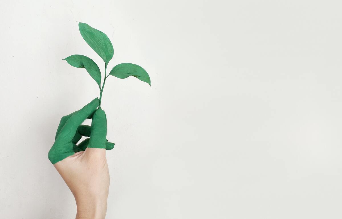 Image of a hand with green paint holding a plant