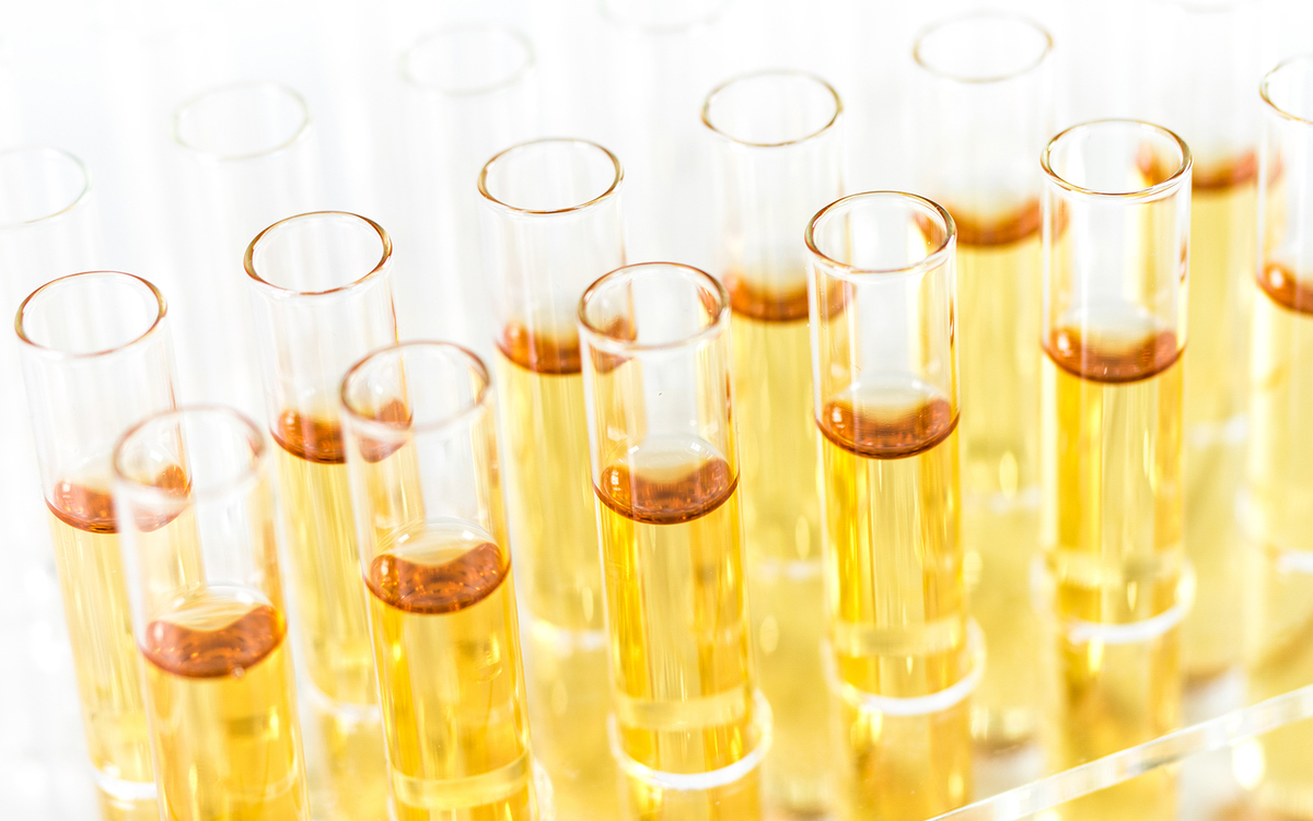 Product Safety and Metrology UK Cannabis Trades Association