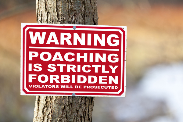 warning sign about poaching 