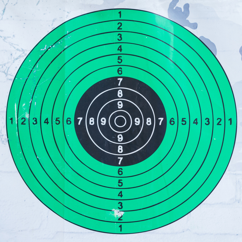 A picture of a target as used in a shooting range