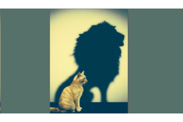 A cat with the shadow of a lion behind them