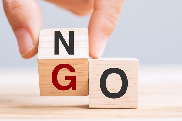 Two wooden blocks, saying either 'no' or 'go' 