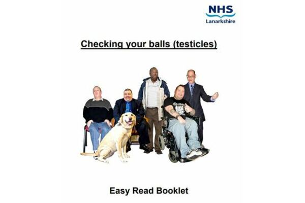 The image is of 5 different men. Two are standing, one of them is in a wheelchair, whilst the other two are seated with a guide dog in front of them.