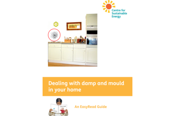 This is the front cover of the leaflet. The picture shows a part of a kitchen (cupboards, oven, kettle) with a stain of damp on the wall circled in red.
