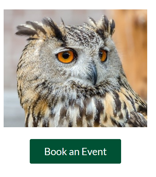 Shows the button on the Events page for "Book an Event"