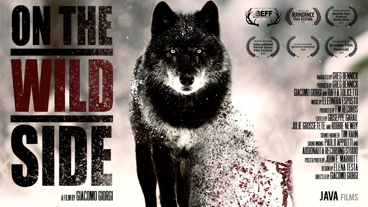 On the Wild Side (2019) | Global Health Film