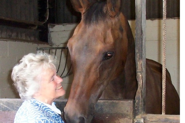 A lady talking to a friendly big bay horse - they know each other
