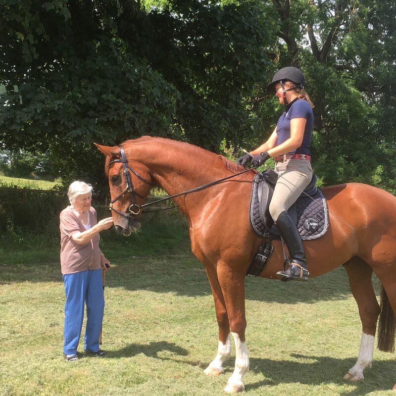 Big ginger horse beside elderly lady - how can we be sure she is safe?