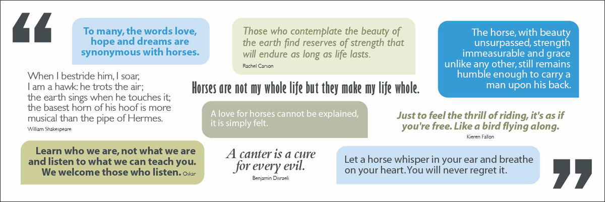 selection of quotes about horses