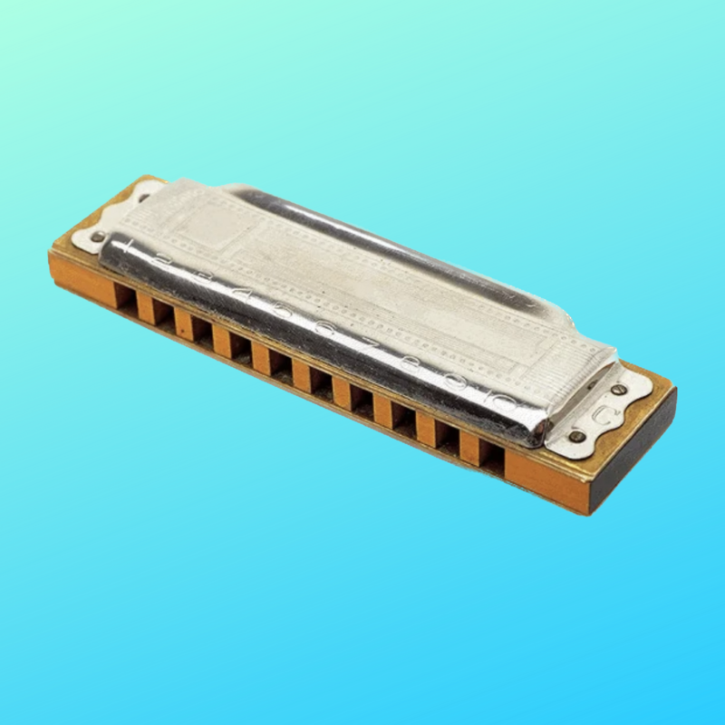 Cardiff Harmonica Sessions June 2023 HarmonicaUK