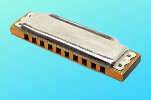 Diatonic harmonica on blue background