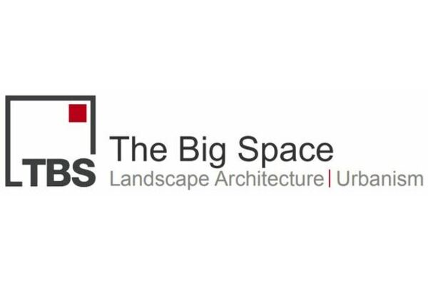 The big space logo