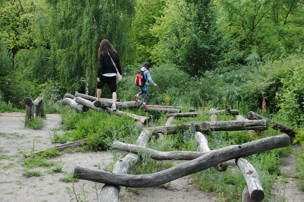 Children climb over a network of logs.