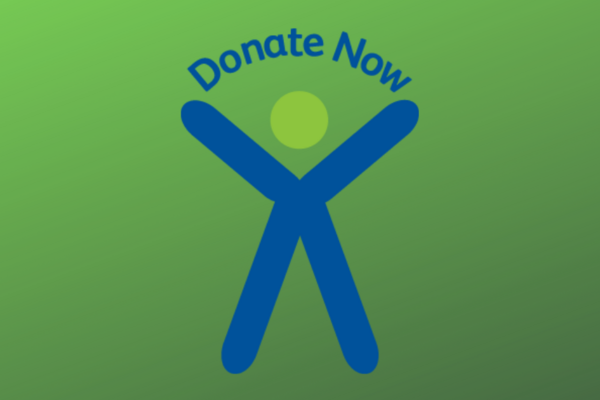 Donate now icon