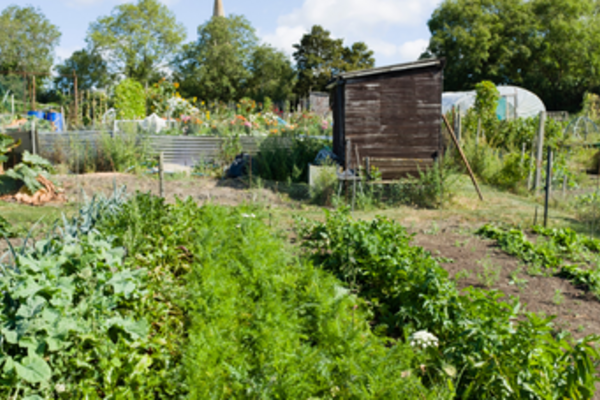 Northdale Allotment Workshop