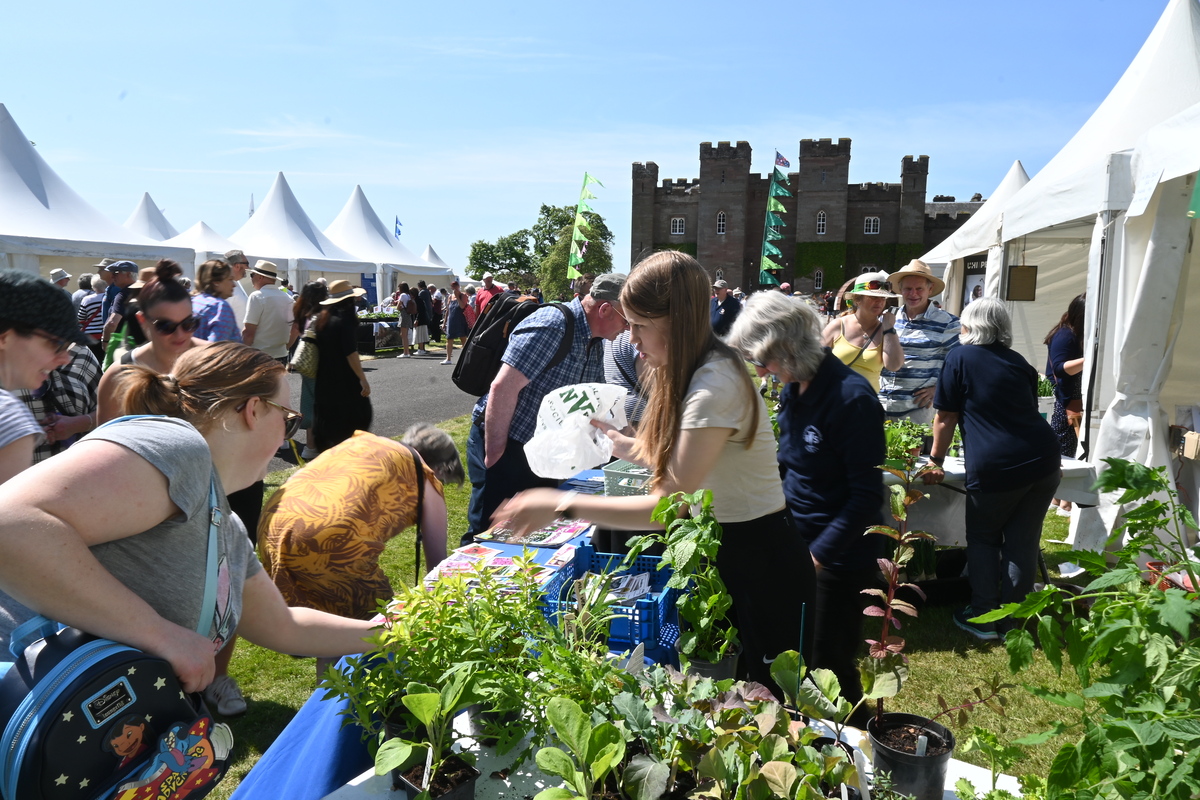 Scone Palace Garden Fair 2024 National Vegetable Society