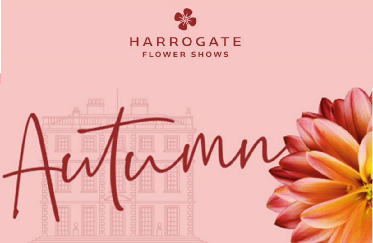 Harrogate Autumn Flower Show National Vegetable Society