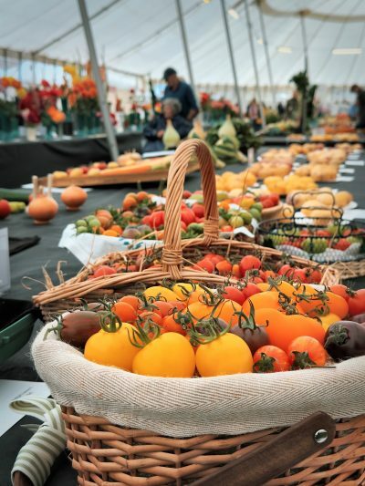 Taunton Flower Show 2024 | National Vegetable Society