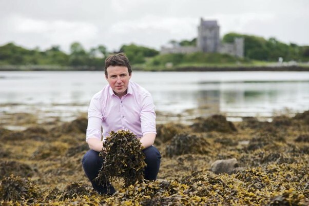 John Byrne, Hygeia CEO, harvesting some seaweed off the wild Atlantic coast