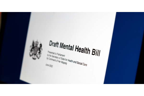 Screenshot of the cover of the Draft Mental Health Bill