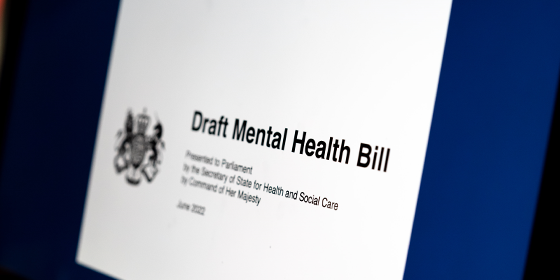 Screenshot of the Draft Mental Health Bill