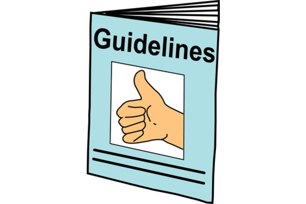 An image of a guidelines booklet