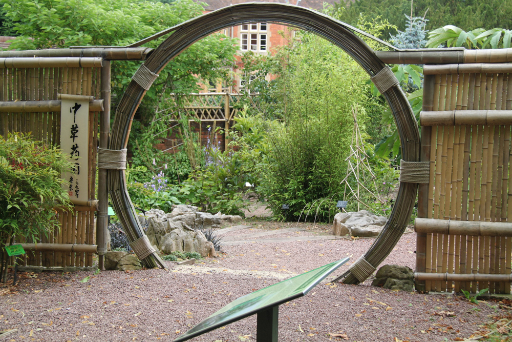 Experience the Qi of Plants and Herbs in the Bristol Chinese Herb