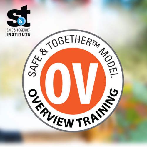 Safe & Together Overview Training Respect