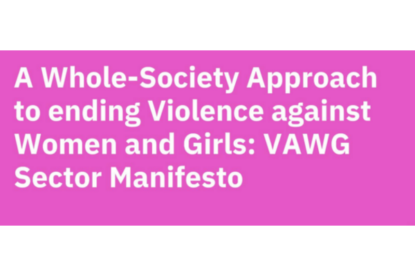 The image shows text saying "a whole-society approach to ending violence against women and girls: vawg sector manifesto"