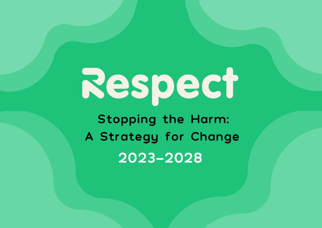 An image of the front cover of Respect's strategy, Stopping the harm: a strategy for change