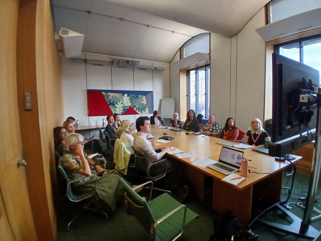 Photo of the room during APPG